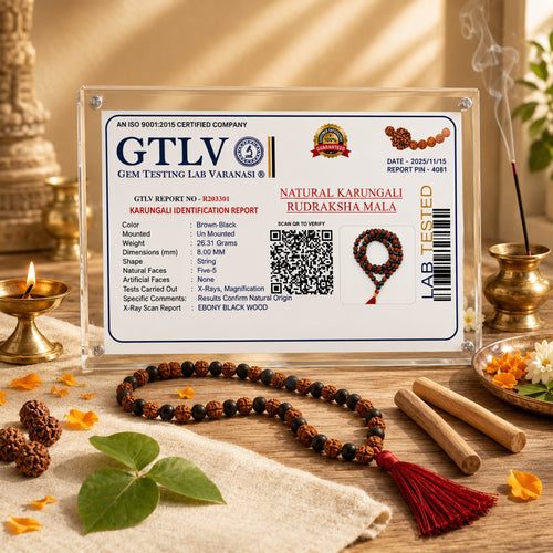 Authentic Karungali Rudraksha Mala 108 Beads | Natural Meditation & Spiritual Necklace for Men & Women